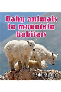 Baby Animals in Mountain Habitats