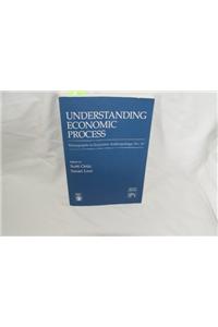Understanding Economic Process