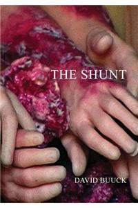 Shunt