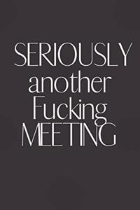 SERIOUSLY another Fucking MEETING