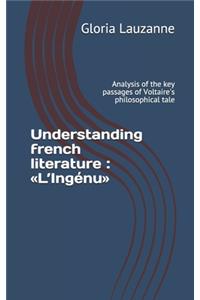 Understanding french literature