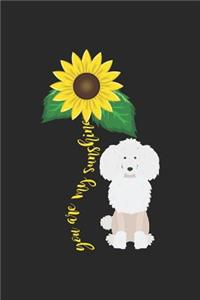 You are my Sunshine