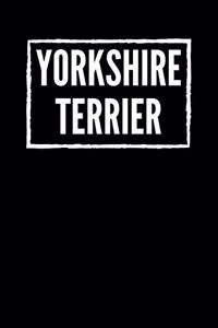 Yorkshire Terrier