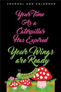 Your Time as a Caterpillar Has Expired Your Wings Are Ready