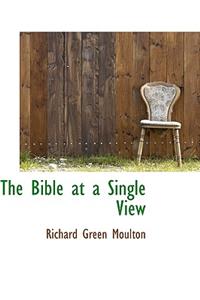 The Bible at a Single View