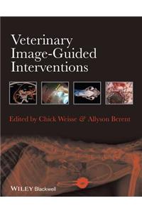Veterinary Image-Guided Interventions