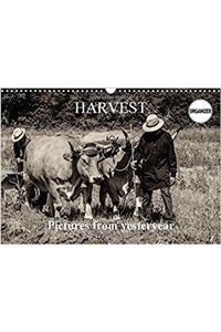 Harvest, Pictures from Yesteryear 2017