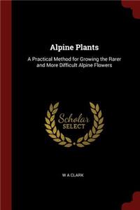 Alpine Plants