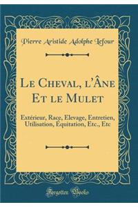 Le Cheval, l'Âne Et Le Mulet
