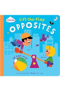 Start Little Learn Big Lift-the-Flap Opposites