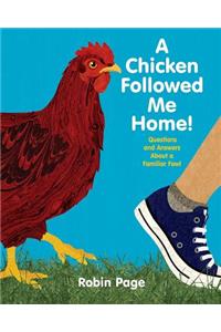 Chicken Followed Me Home!