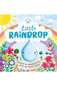 Little Raindrop