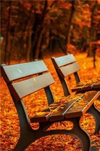 Mind Blowing Autumn Bench 200 page lined journal