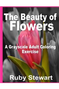 The Beauty of Flowers