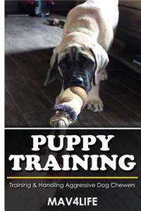 Puppy Training