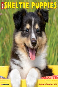 Just Sheltie Puppies 2021 Wall Calendar (Dog Breed Calendar)