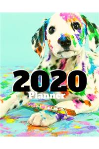 2020