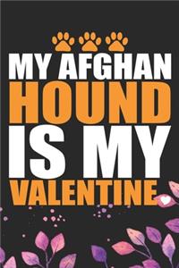 My Afghan Hound Is My Valentine