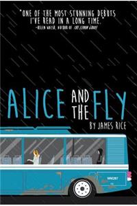 Alice and the Fly