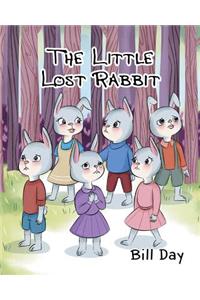 Little Lost Rabbit