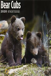 BEAR CUBS WALL CALENDAR 2020