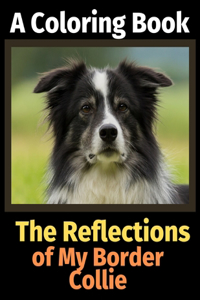 Reflections of My Border Collie