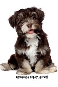 Havanese Puppy Journal