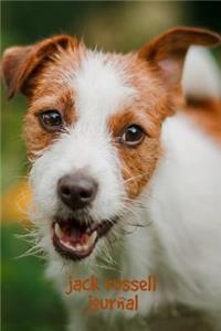Jack Russell Journal