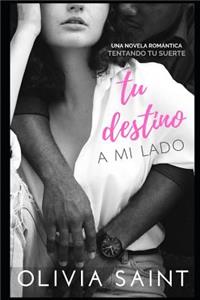 Tu Destino a Mi Lado