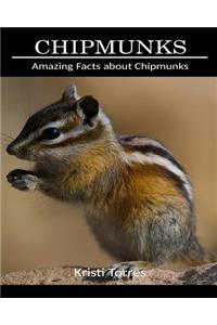 Amazing Facts about Chipmunks