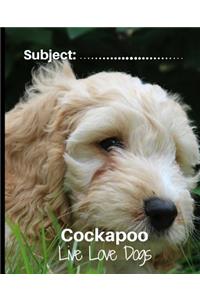 Cockapoo- Live Love Dogs!