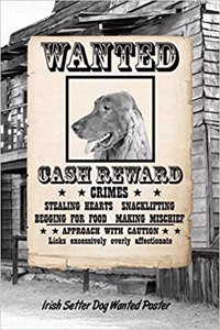 Irish Setter Dog Wanted Poster