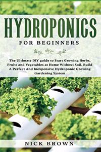 Hydroponics for Beginners