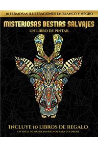 Un libro de pintar (Misteriosas bestias salvajes): Este libro contiene 30 láminas para colorear que se pueden usar para pintarlas, enmarcarlas y / o meditar con ellas. Puede fotocopiarse, imprimirse 