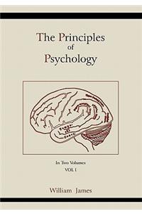 Principles of Psychology (Vol 1)