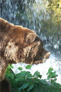 Grizzly Brown Bear Looking for Fish Journal