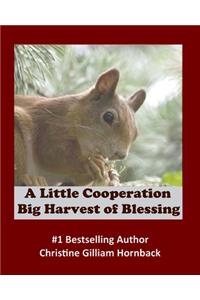 Little Cooperation