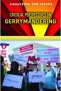 Critical Perspectives on Gerrymandering