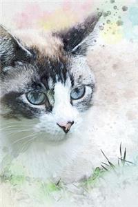 Watercolor of a Blue Eyed Cat Journal