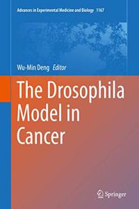 Drosophila Model in Cancer