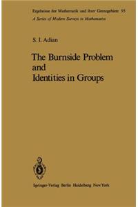 The Burnside Problem and Identities in Groups