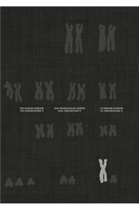 Chromosome X and the Human Genome