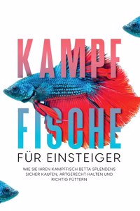 Kampffische für Einsteiger