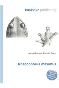 Rhacophorus Maximus