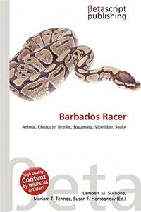 Barbados Racer