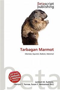 Tarbagan Marmot