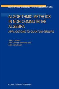 Algorithmic Methods in Non-Commutative Algebra