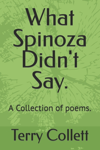What Spinoza Didn't Say.