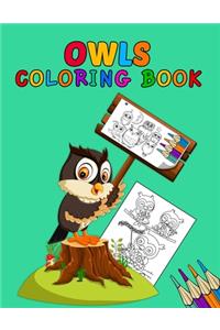 Owls Coloring Book
