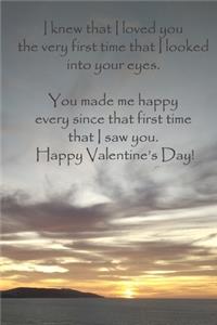I knew that I loved you the very first time that I looked into your eyes. You made me happy every since that first time that I saw you. Happy Valentine's Day!